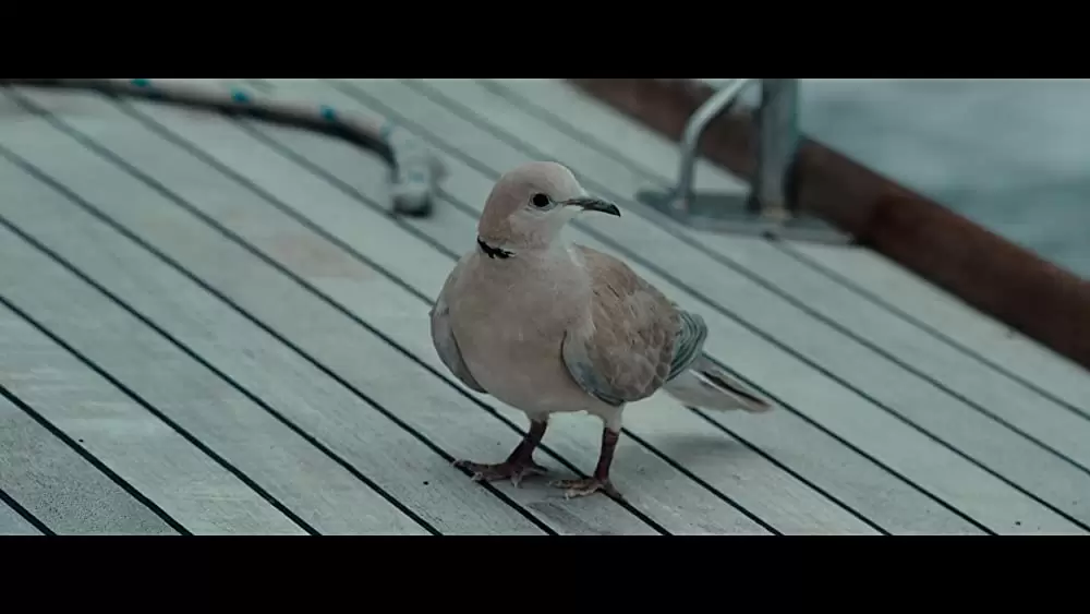 アドリフト 41日間の漂流の画像
