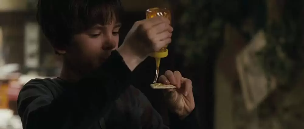 「スパイダーウィックの謎」フレディ・ハイモアの画像