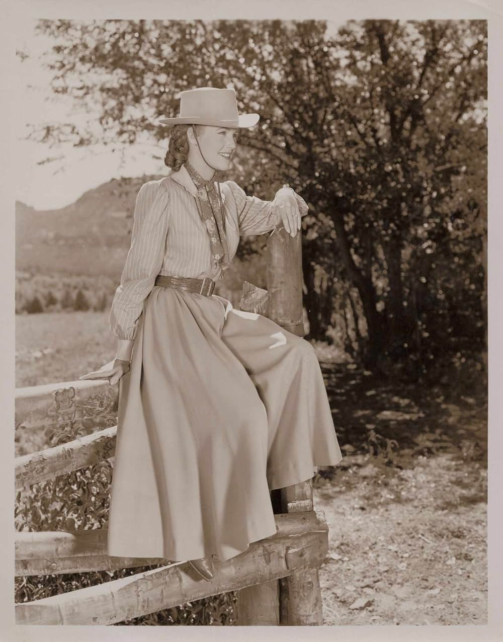 ガンファイターの画像