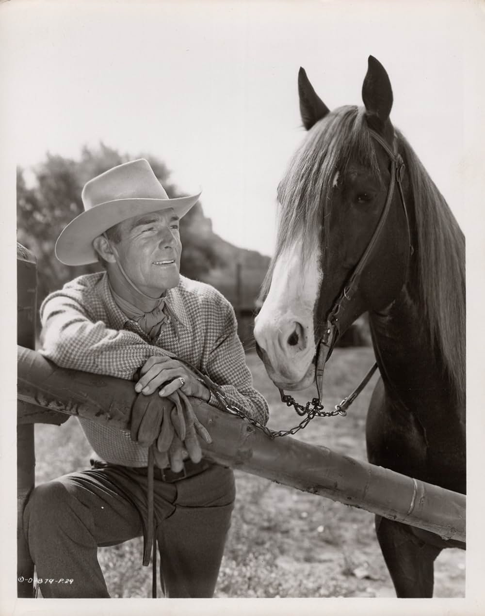 ガンファイターの画像