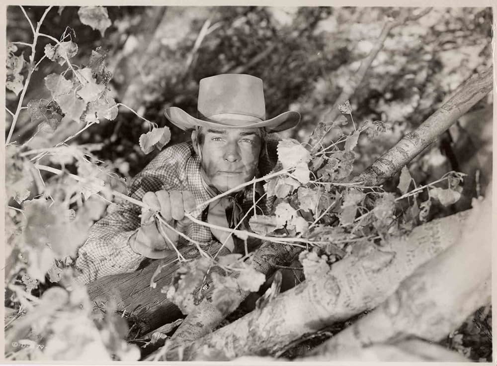 ガンファイターの画像