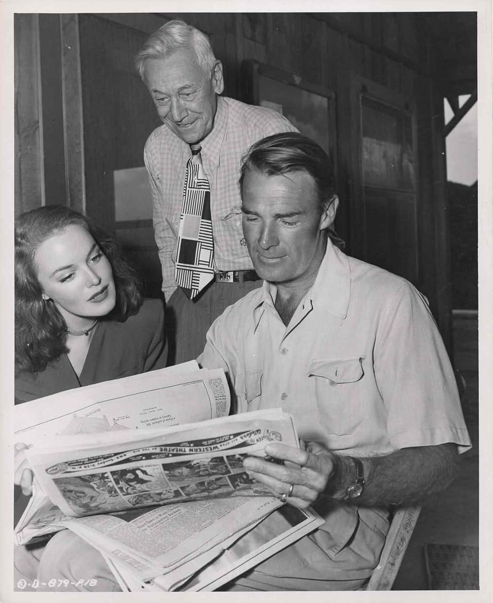 ガンファイターの画像