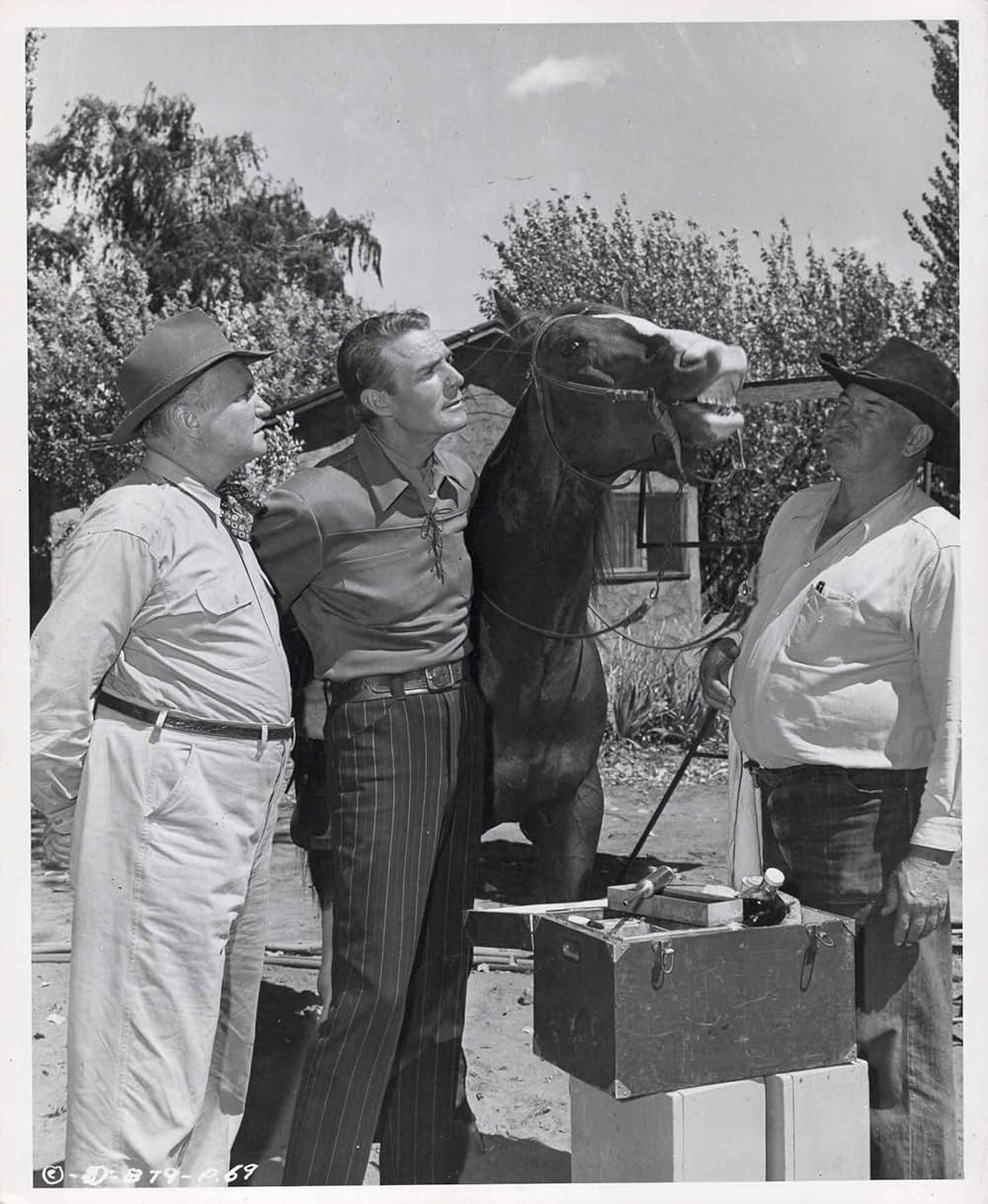 ガンファイターの画像