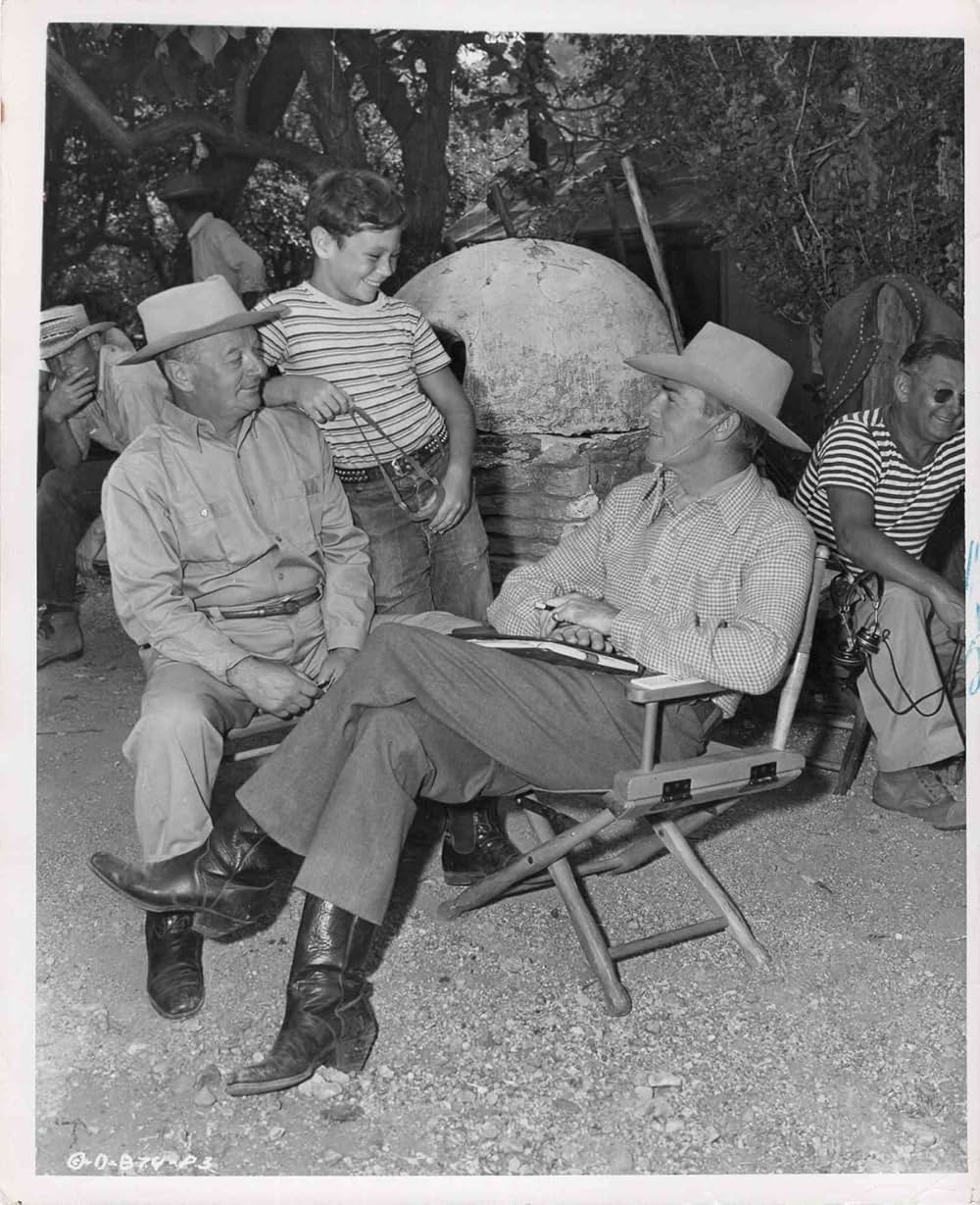 ガンファイターの画像