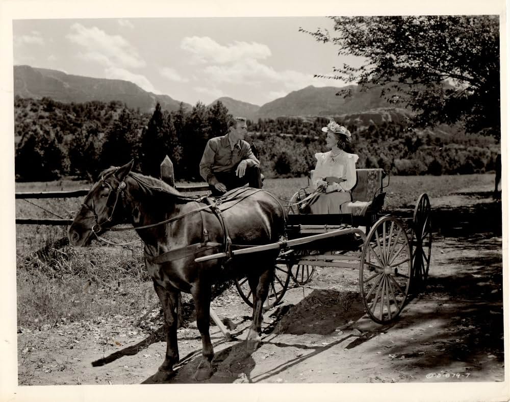 ガンファイターの画像