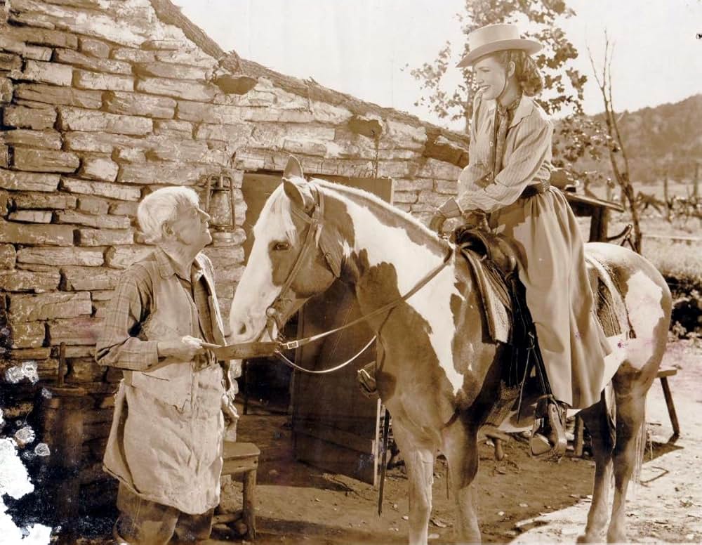 ガンファイターの画像