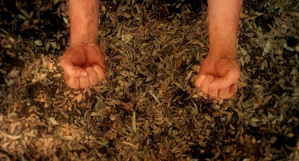 オンリー・ゴッドの画像