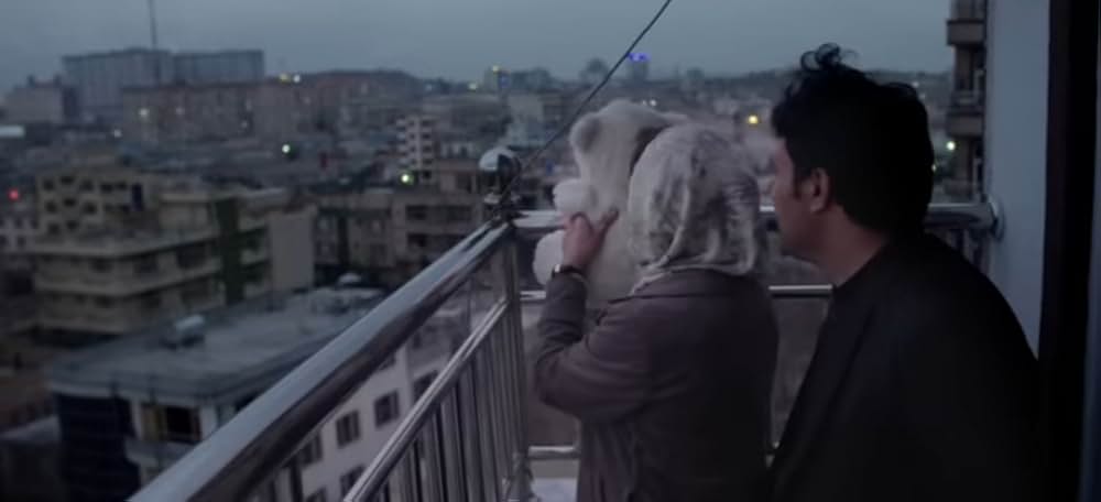 ザリファ・ガファリ 混沌の中の希望の画像