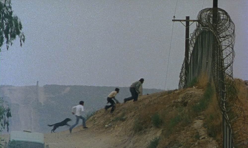 Alambrista!（原題）の画像