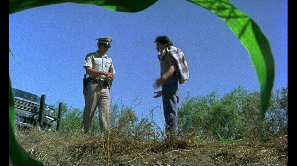 Alambrista!（原題）の画像