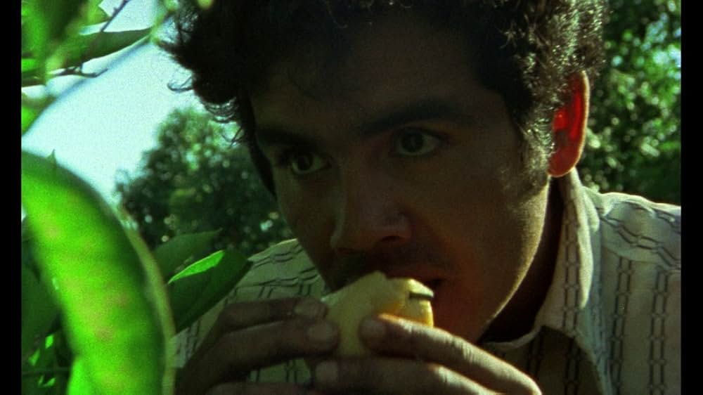 Alambrista!（原題）の画像