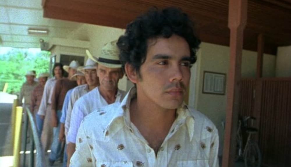 Alambrista!（原題）の画像