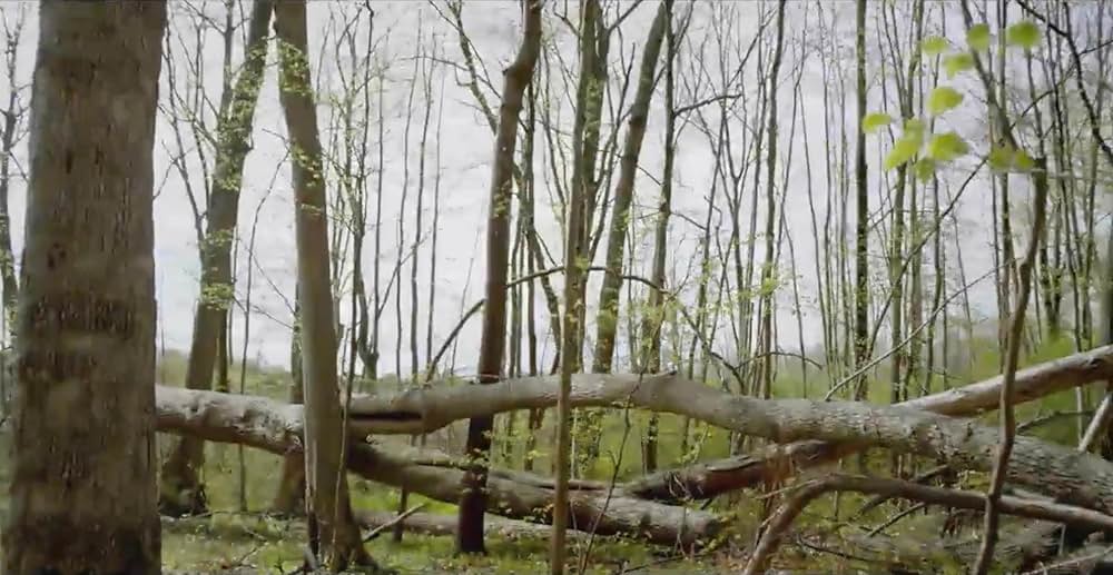 ロスト・ガール 魂を失った少女の画像