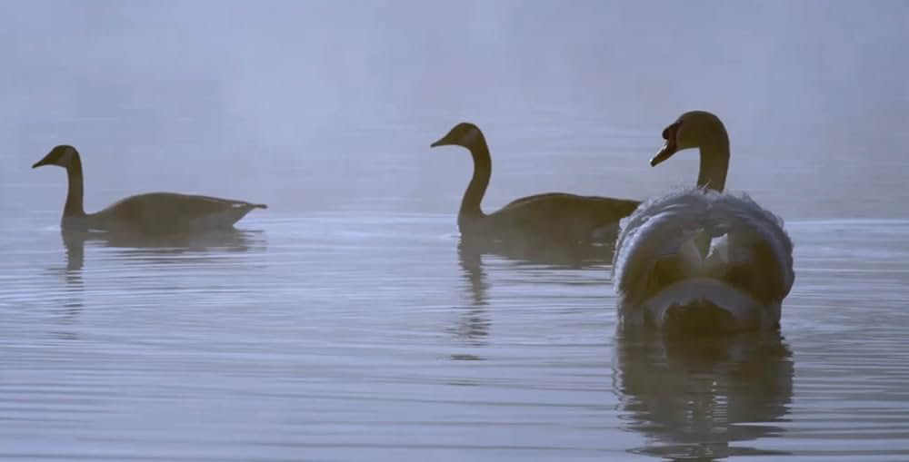 ロスト・ガール 魂を失った少女の画像