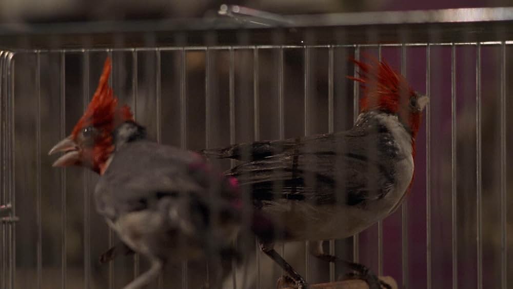 未来娼館ネザーワールドの画像