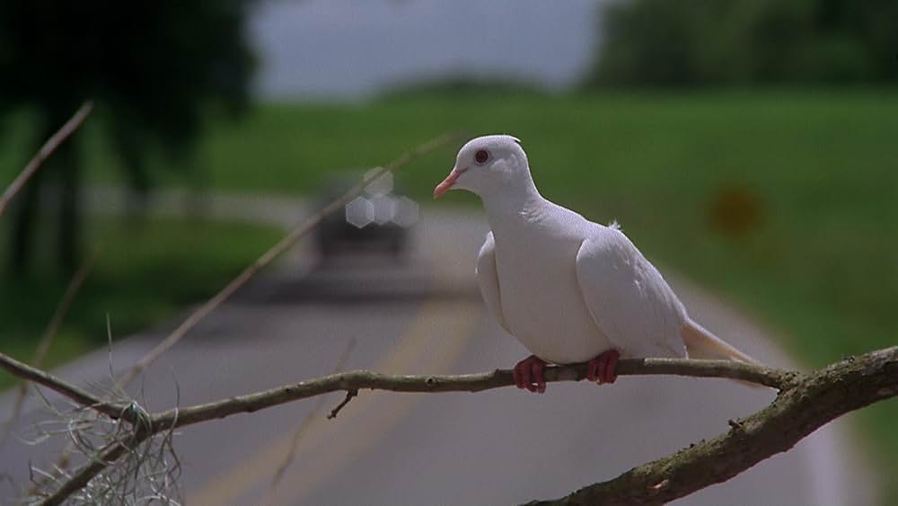 未来娼館ネザーワールドの画像