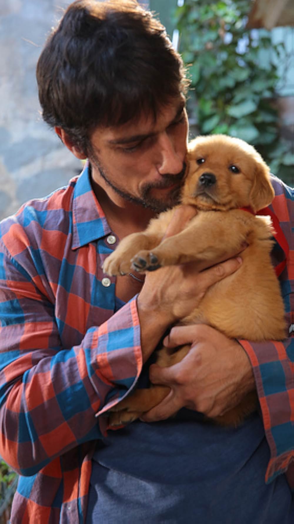 オンリーユーの画像