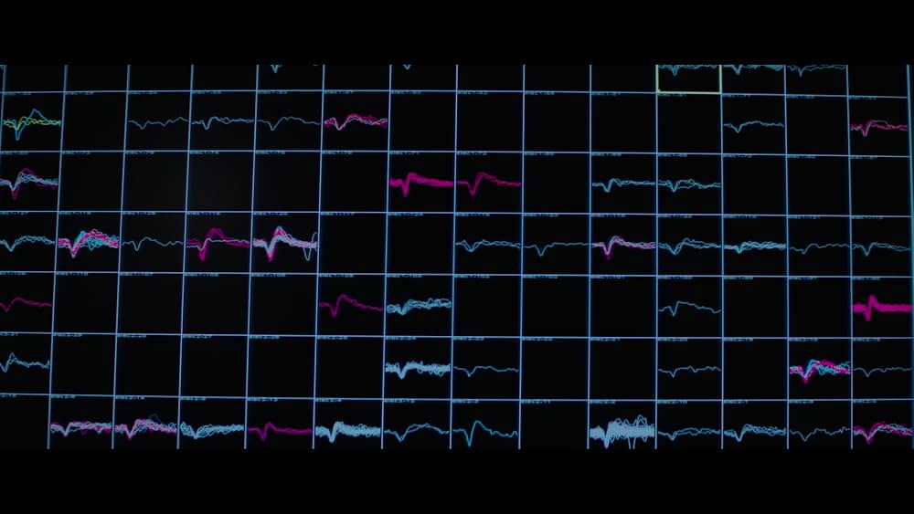 私は人間の画像