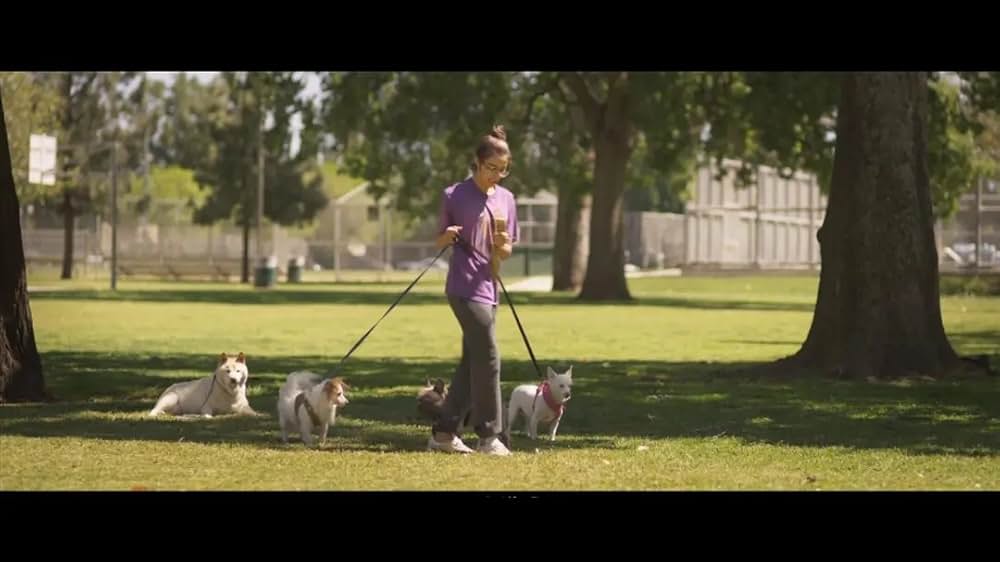 スウィング・オブ・シングスの画像