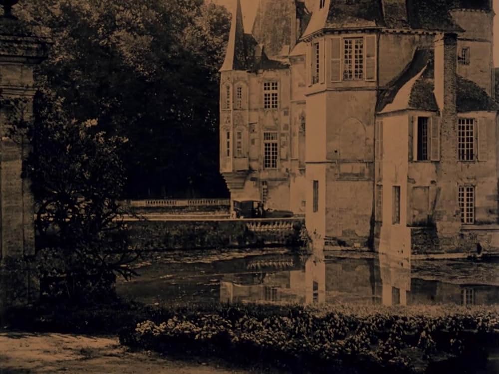 風の餌食の画像