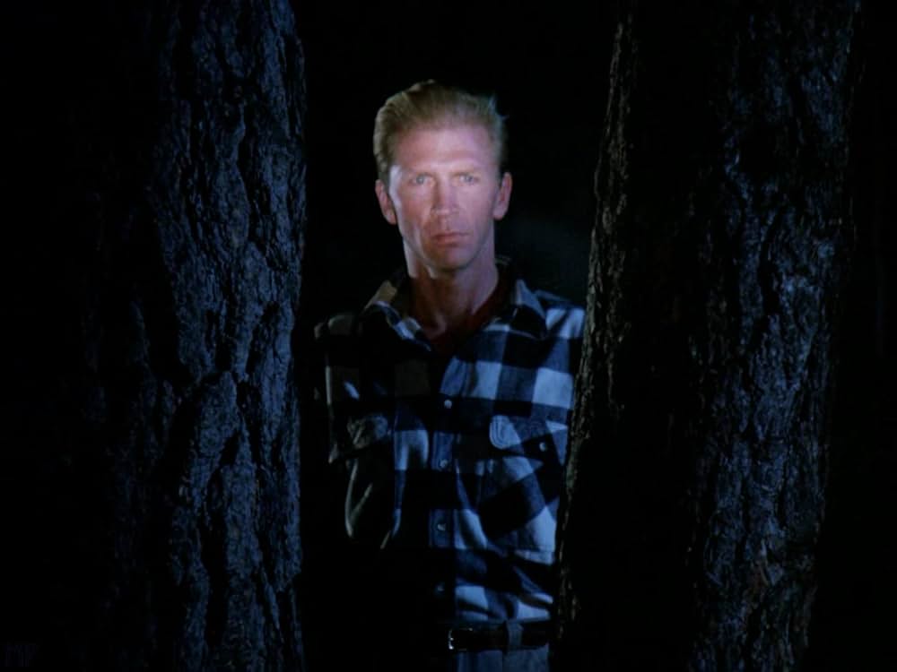 デザート・キル 姿なき訪問者／大砂漠デッドゾーンの画像