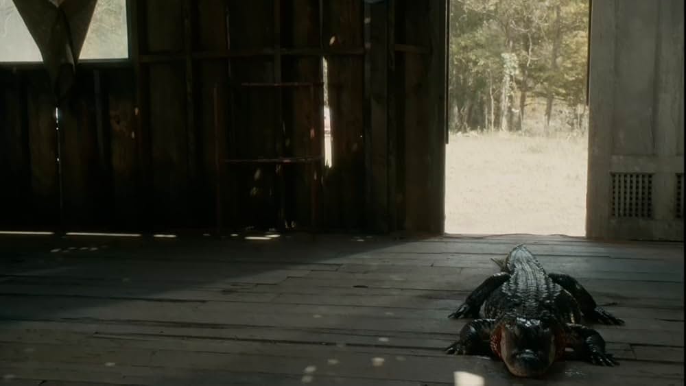 チェーンの画像