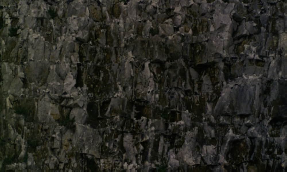 The Nude Vampire（英題）の画像