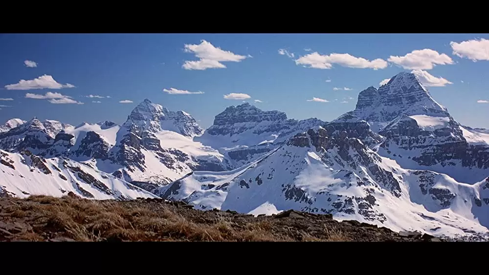 シャンハイ・ヌーンの画像