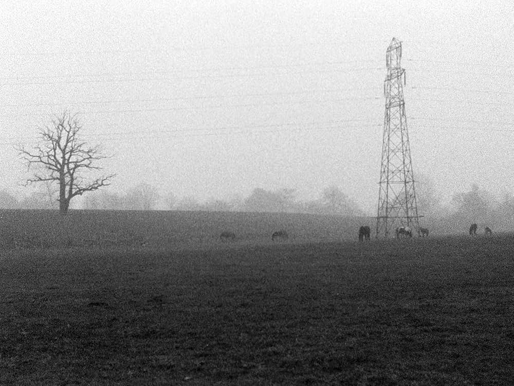 The Girl Chewing Gum（原題）の画像