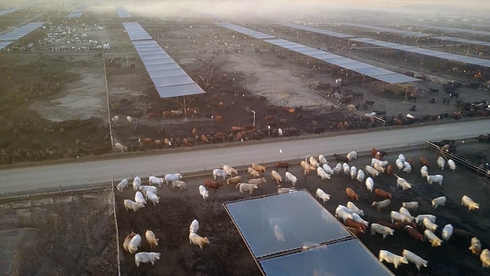 ミート・ザ・フューチャー〜培養肉で変わる未来の食卓〜の画像