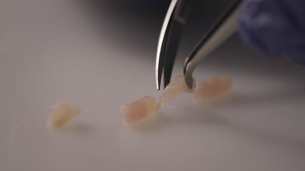 ミート・ザ・フューチャー〜培養肉で変わる未来の食卓〜の画像