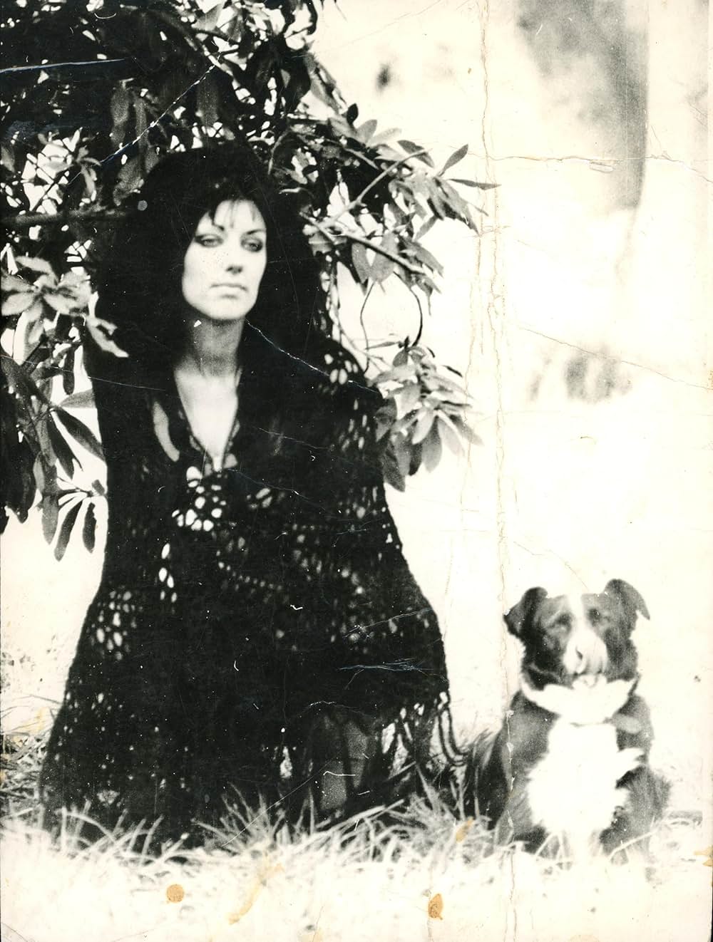 Never Look Away（原題）の画像