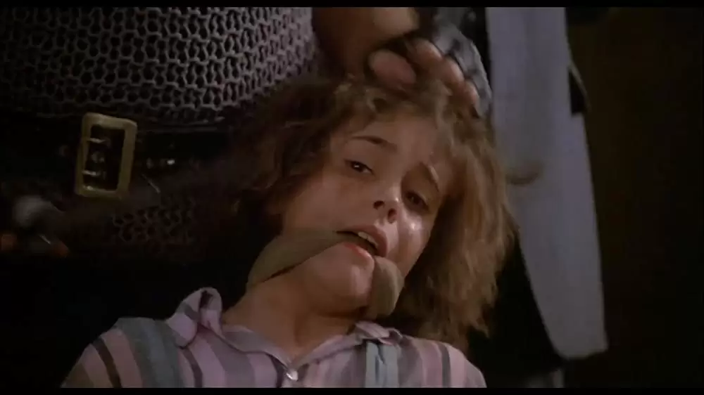 コマンドーの画像