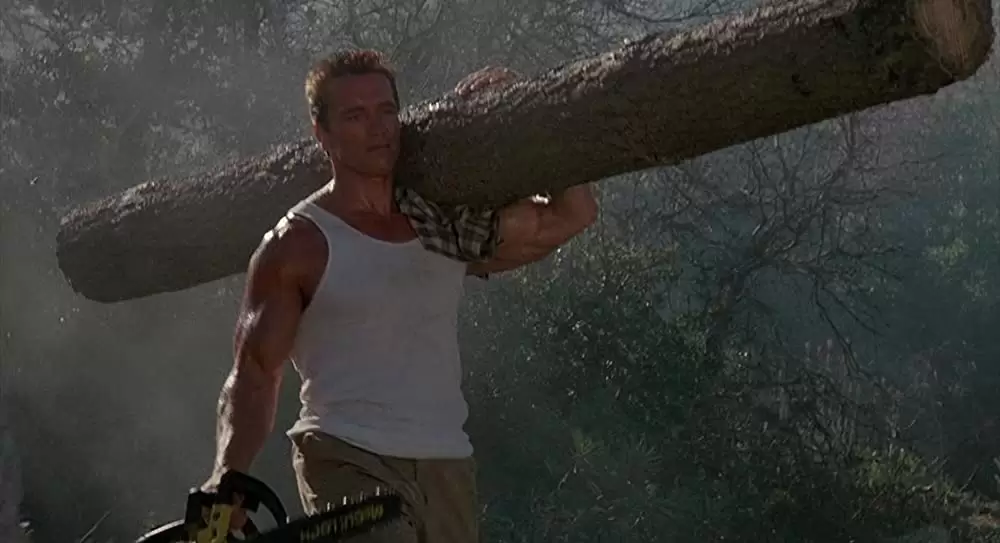 コマンドーの画像