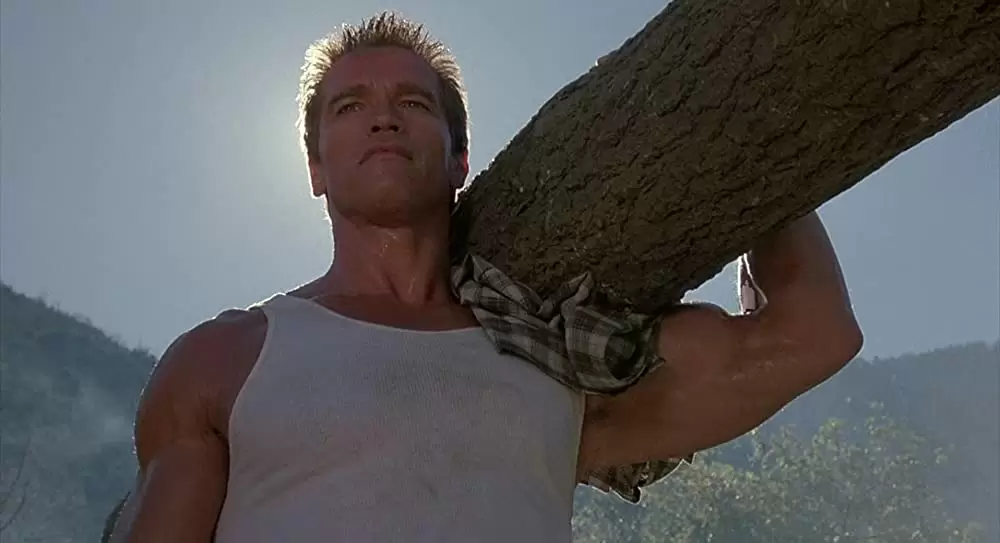 コマンドーの画像