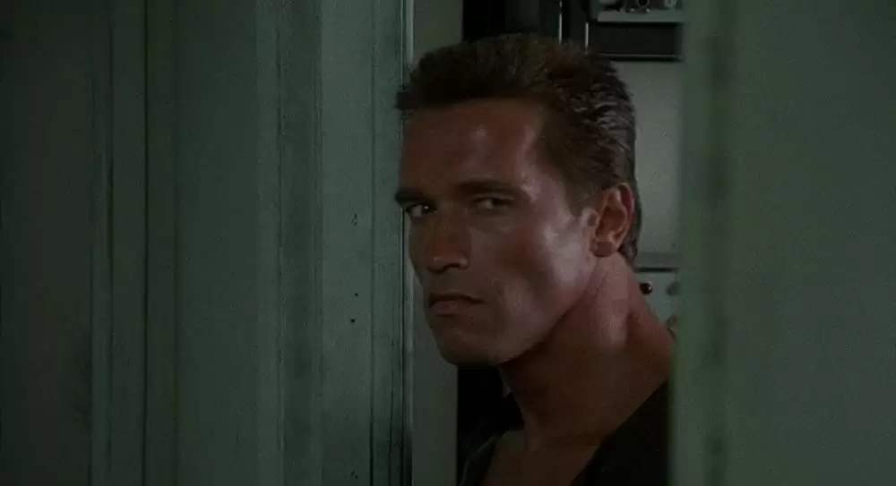 コマンドーの画像