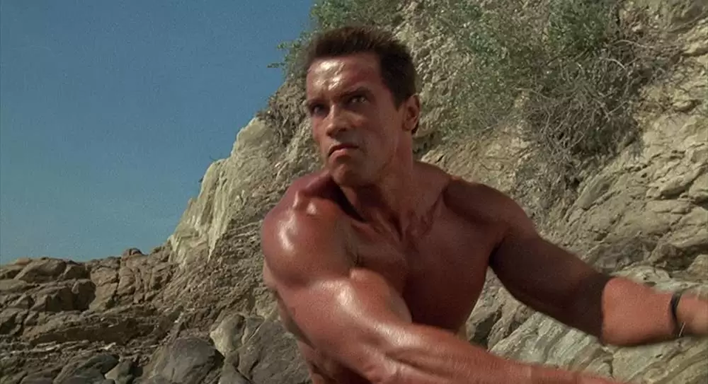 コマンドーの画像