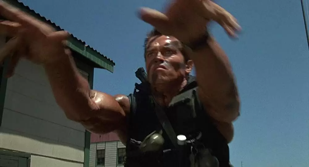 コマンドーの画像