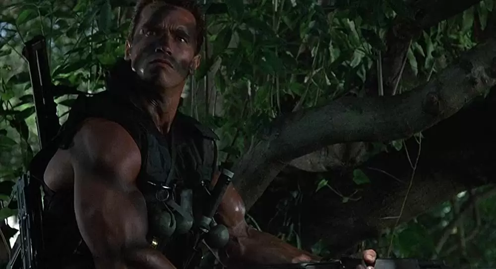 コマンドーの画像