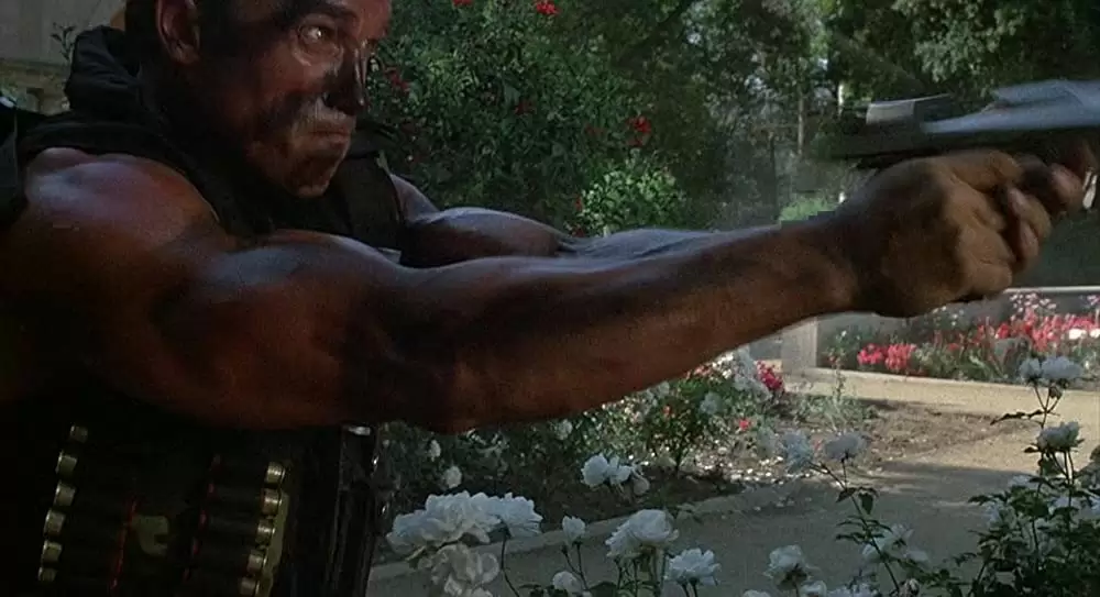 コマンドーの画像