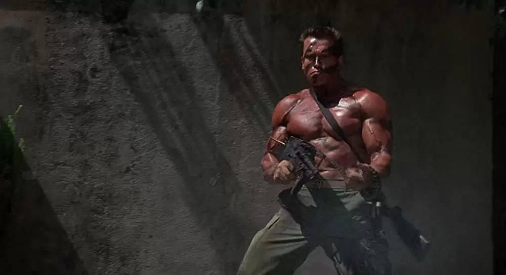 コマンドーの画像