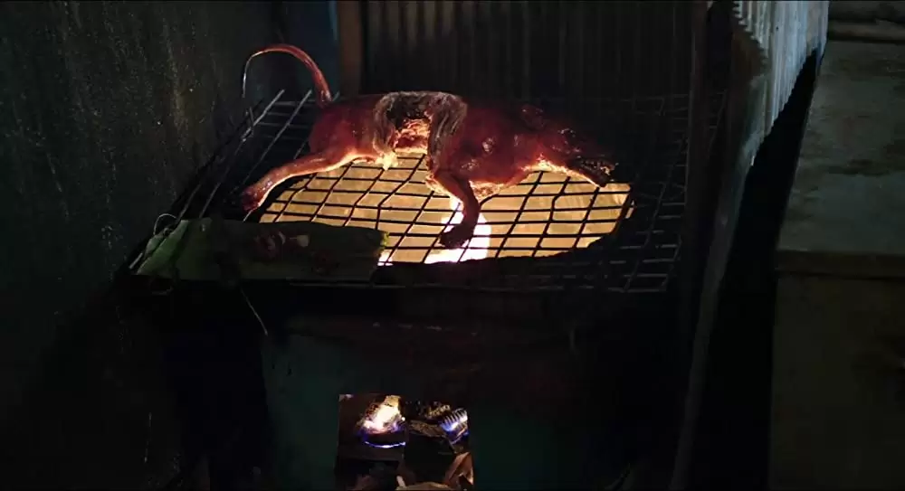 クーデターの画像