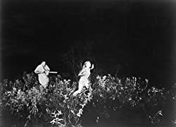 悪魔のいけにえの画像