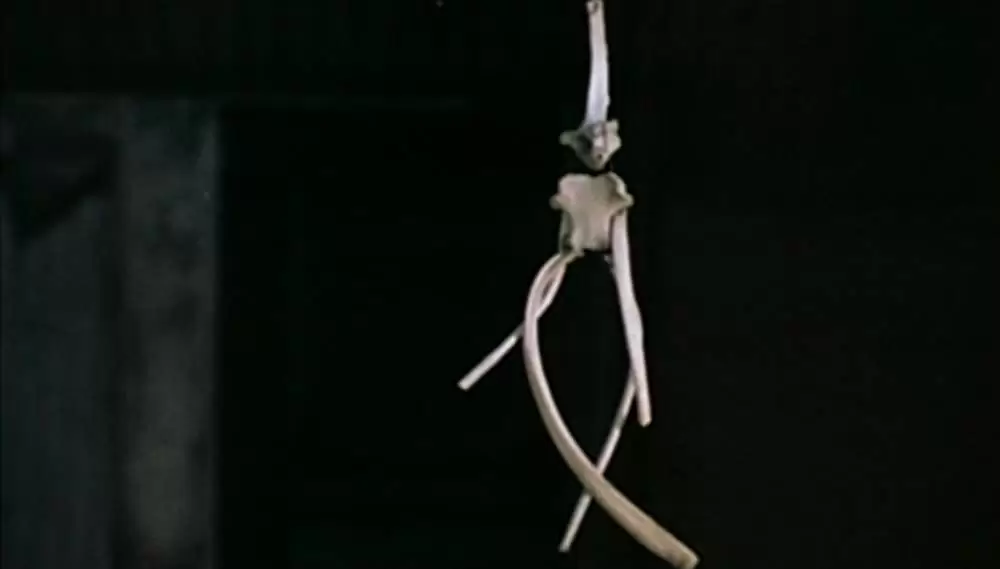 悪魔のいけにえの画像