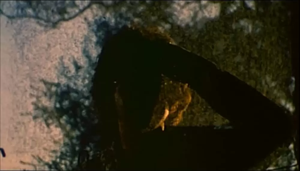 悪魔のいけにえの画像