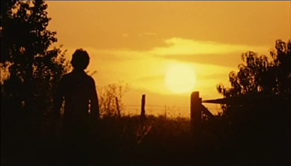 悪魔のいけにえの画像