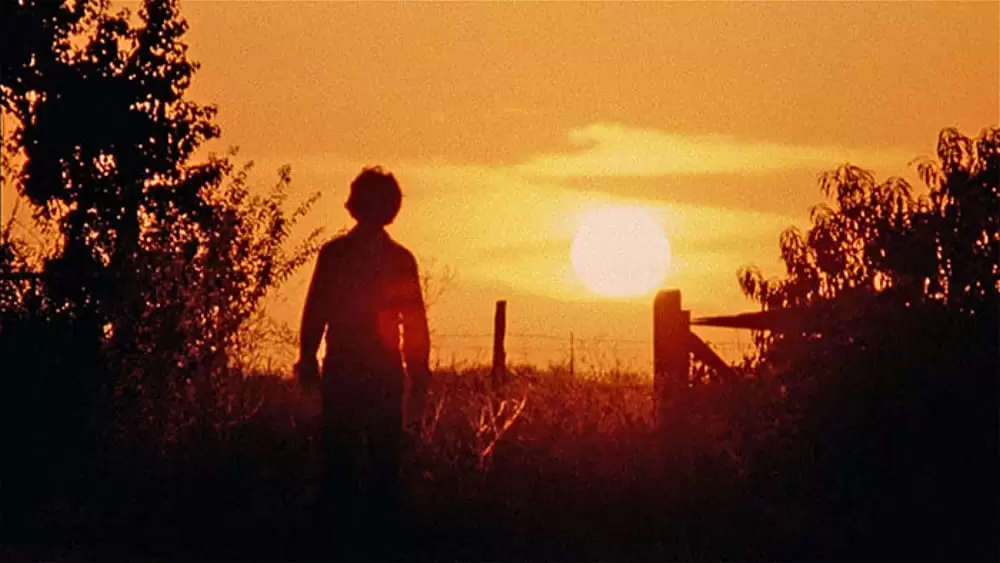 悪魔のいけにえの画像