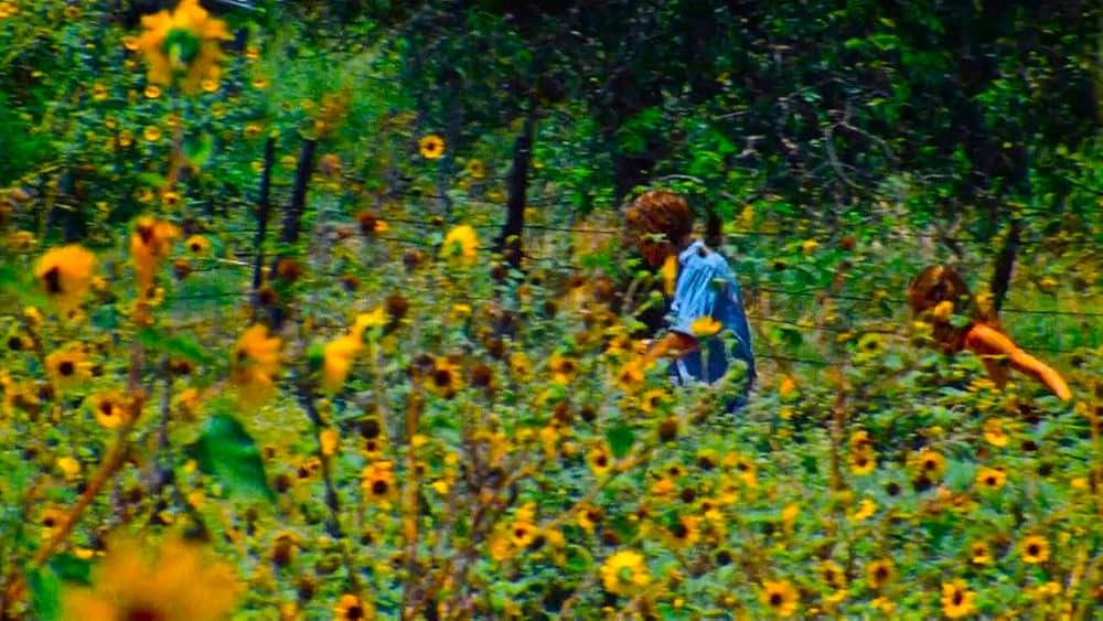 悪魔のいけにえの画像