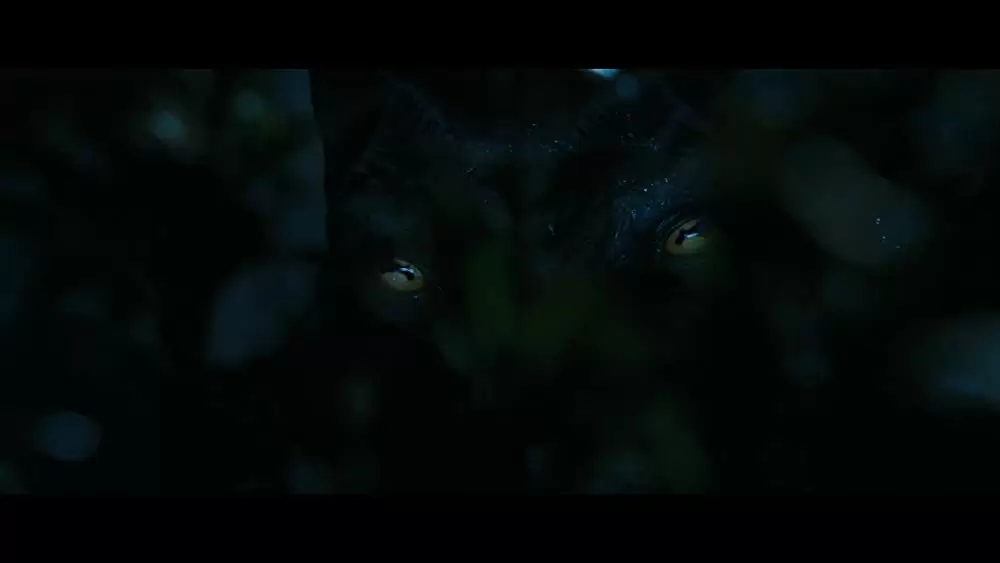 エイリアン バスターズの画像