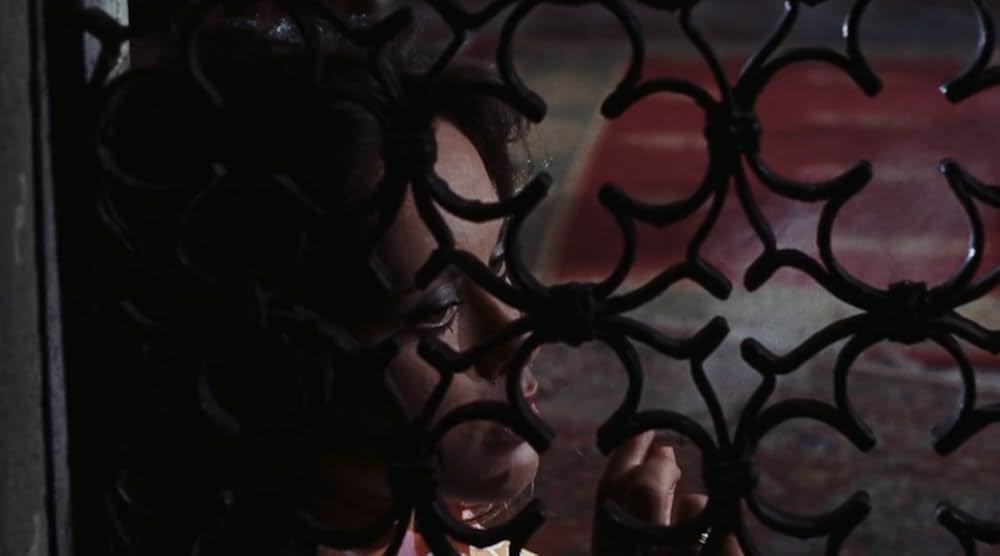 Alla ricerca del piacere（原題）の画像